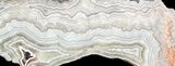 Polished, Crazy Lace Agate Slab - Mexico #60987-2